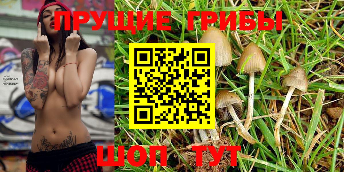 Псилоцибиновые грибы Magic Shrooms  Псилоцибиновые грибы GOLDEN TEACHER  Чусовой  Вход с VPN 