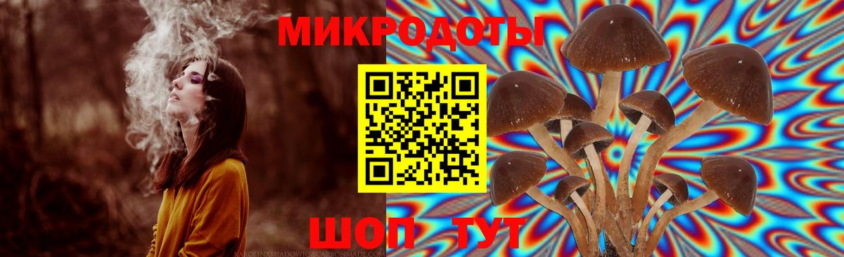 Псилоцибиновые грибы Magic Shrooms Чусовой